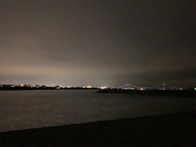 ケンサキイカ①