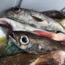 深場浅場なんでも狙いで