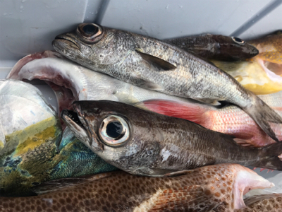 深場浅場なんでも狙いで