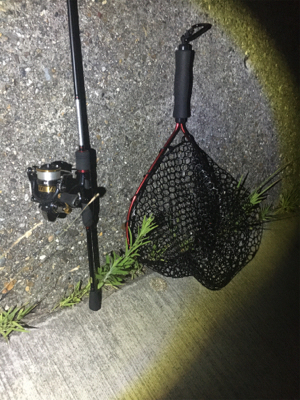 梅雨メバリング