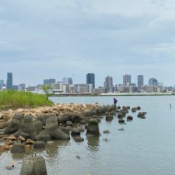 自粛釣行　手長エビ