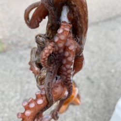 朝一、昨日の所へ！