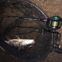 大雨ナイトチニング!