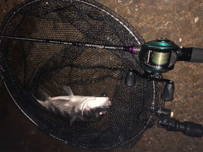 大雨ナイトチニング!