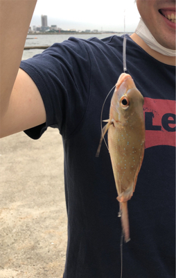 須磨でキス釣り