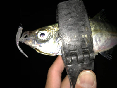 2020ライトゲーム第22戦