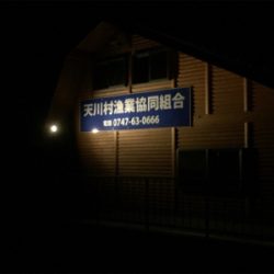 ウナギ釣りのはず