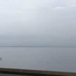 まさかのビックベイト