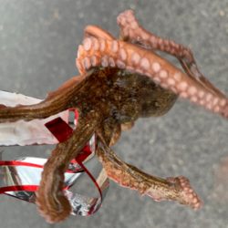 ポイント大移動！