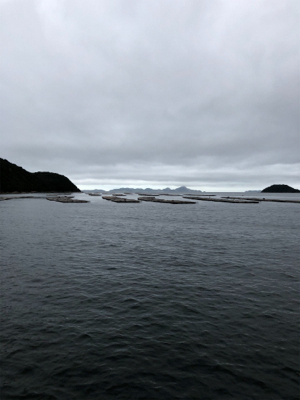 オクトパスフィッシュ！3