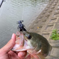 久しぶりのリザーバー