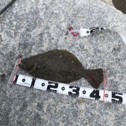 激渋サーフ攻略！