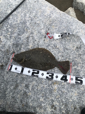 激渋サーフ攻略！