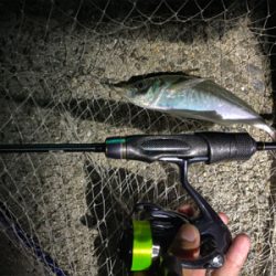 初淡路めちゃ爆超‼︎