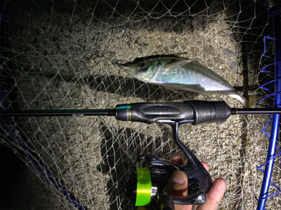 初淡路めちゃ爆超‼︎