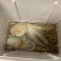 まぁまぁのサイズ♪