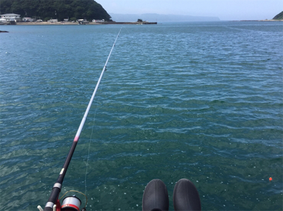 35センチのカンパチ三匹!やっぱり釣りは楽しいなー!