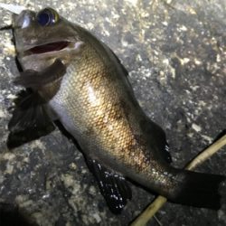 時合に間に合わず…