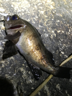 時合に間に合わず…