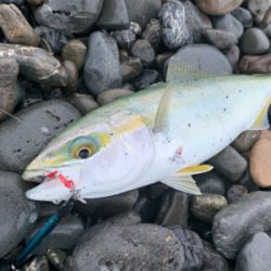 サイズがいまいち>_<