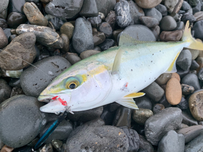 サイズがいまいち>_<