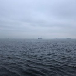 ブヨ対策をお忘れなく