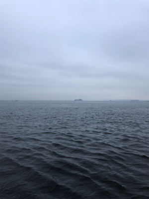 ブヨ対策をお忘れなく