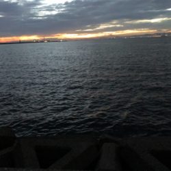 レッツタコパ！