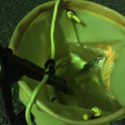 ダイソーのワームが良い