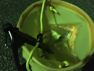 ダイソーのワームが良い