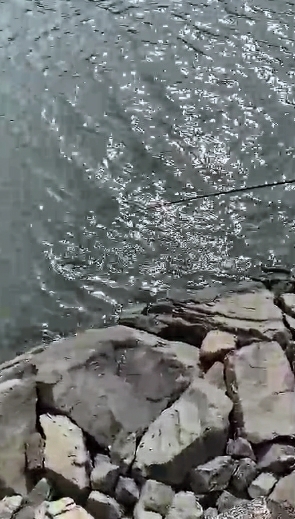 真っ昼間にトップシーバス！！ハーモニカ！！