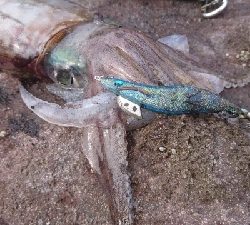 まさかこんな所に!?