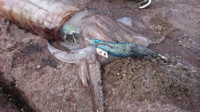 まさかこんな所に!?