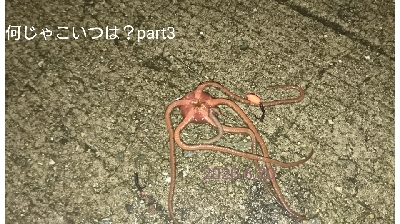 暴風＆雨は晴れ男なんでマシでしたが…