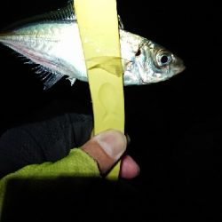 ボトムネチネチ