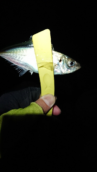 ボトムネチネチ