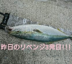 前日のリベンジや!ハマチ4本捕ったぞ!