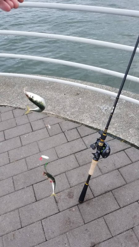 コスモで（小）サバゲー