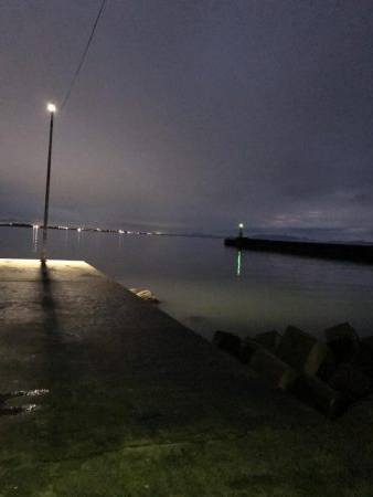 雨上がりの漁港はにぎやか