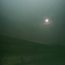 サイズが小さくなってきたけど嬉しいアオリイカ