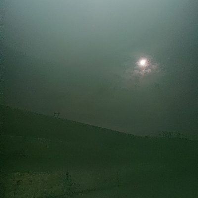 サイズが小さくなってきたけど嬉しいアオリイカ