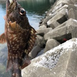 ごめん!勘弁してください