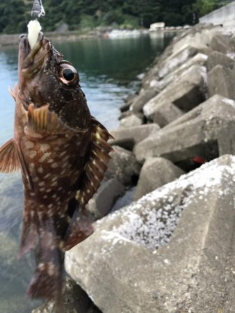 ごめん！勘弁してください