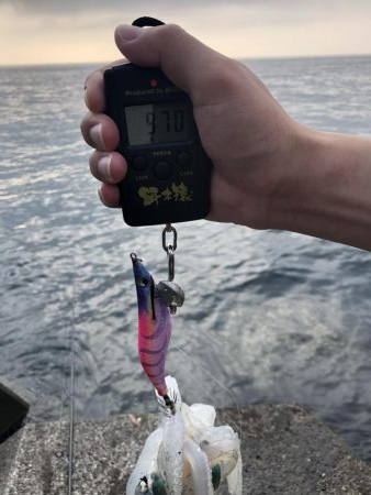 県南遠征朝まずめ