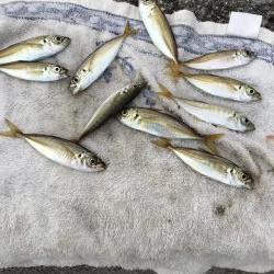 おせんの猛攻その2