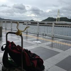 マリーナの尺アジ