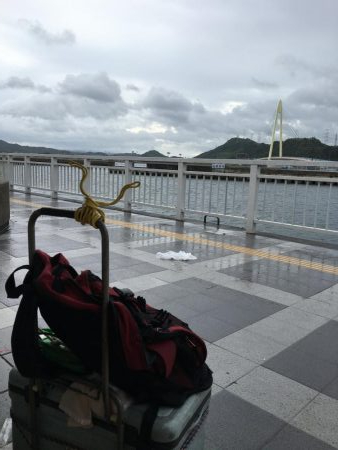 マリーナの尺アジ