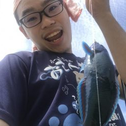 南国色々!デカウツボ多数…