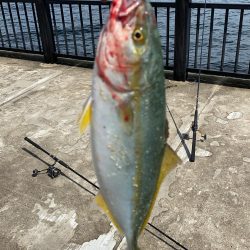 帰り側にやったアタリが!