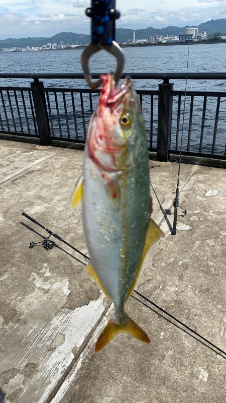 帰り側にやったアタリが！